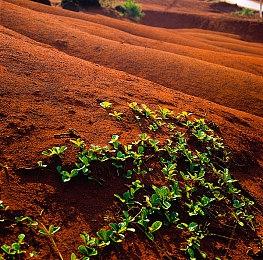 《潜行者2》需要150GB PC配置推荐RTX 2070S